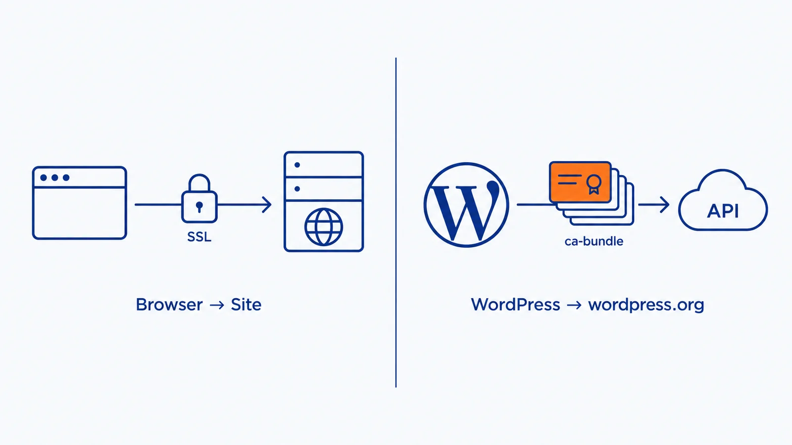 訪問者のブラウザとサイトのSSLと、WordPressが外部へ出るときに使う同梱ルート証明書の束を左右に分けた図
